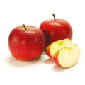 Jabłoń RED BOSKOOP