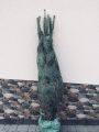Jodła KAUKASKA w doniczce 30-50 cm - na choinkę