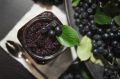 Aronia czarna - krzew