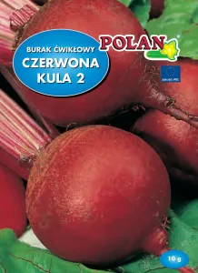 Červená repa Cibuľa na semená