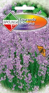 Semienka levandule
