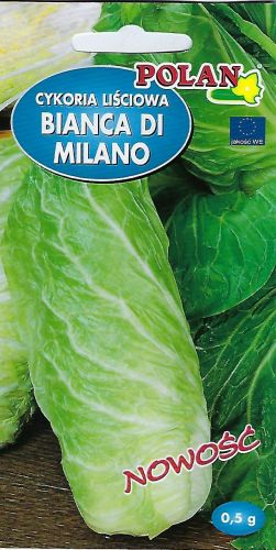 RADICCHIO LIST BIANCA DI MILANO SEMENÁ