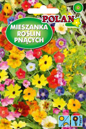 Zmes popínavých kvetov Semeno
