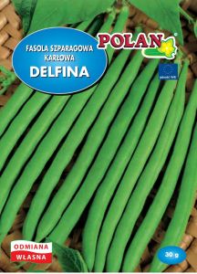Zelená fazuľa DELFINA SEEDS