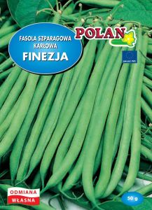 Fazuľa zelená FINEZJA SEEDES