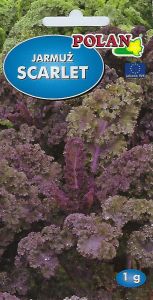 Kel SCARLET SEEDS