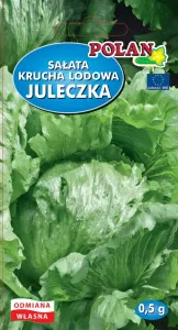 Šalát chrumkavý JULECZKA SEED