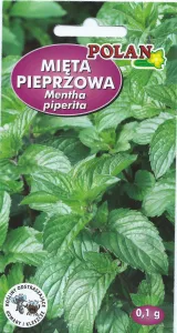 Mäta pieporná SEMIENKA
