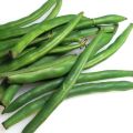Fasola szparagowa DELFINA