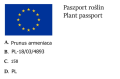 Nektarynka i Morela na JEDNYM drzewie DUO NOWOŚĆ!