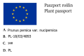 Nektarynka kolumnowa HARCO