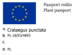 Głóg cętkowany.png