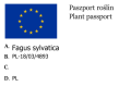 Buk kolumnowy.png