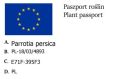 Parocja PERSKA