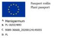 Miesięcznik.jpg