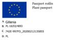 Gillenia TRÓJLISTNA