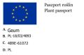 Kuklik Szkarłatny KOI