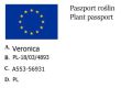 Przetacznik
