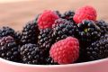 Jeżyna bezkolcowa LOCH NESS