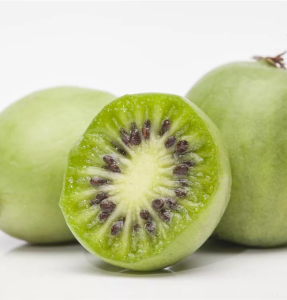 Kiwi VITIKIWI