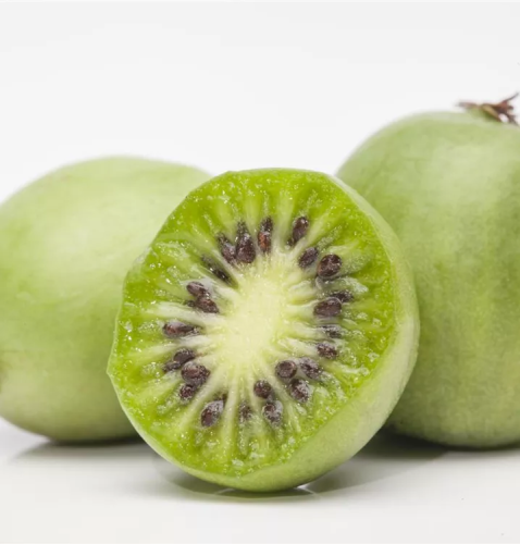Kiwi VITIKIWI