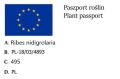 Porzeczkoagrest JOSTA