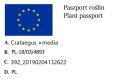 Głóg JADALNY MIECHOWY