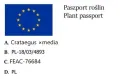 Głóg pośredni GIREOUDII