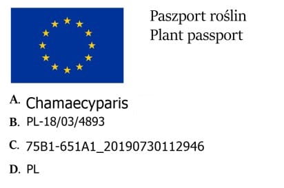 Lawsonov cyprus BAUTCHENSIS (1)
