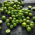 Mini Kiwi ROGÓW
