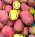 Mini Kiwi WEIKI M