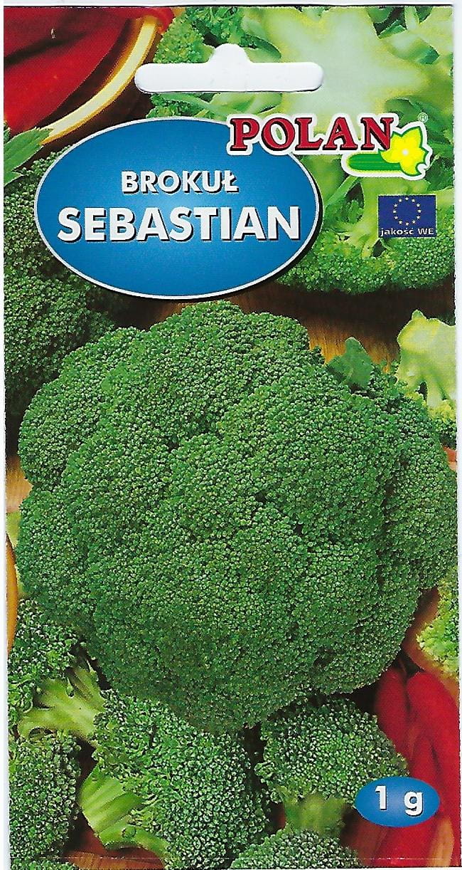 Brokuł sebastian