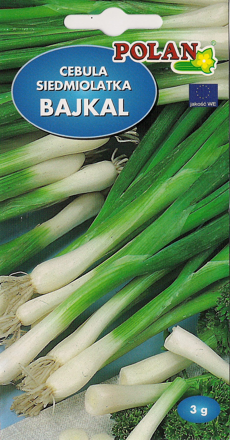 cebula_bajkal
