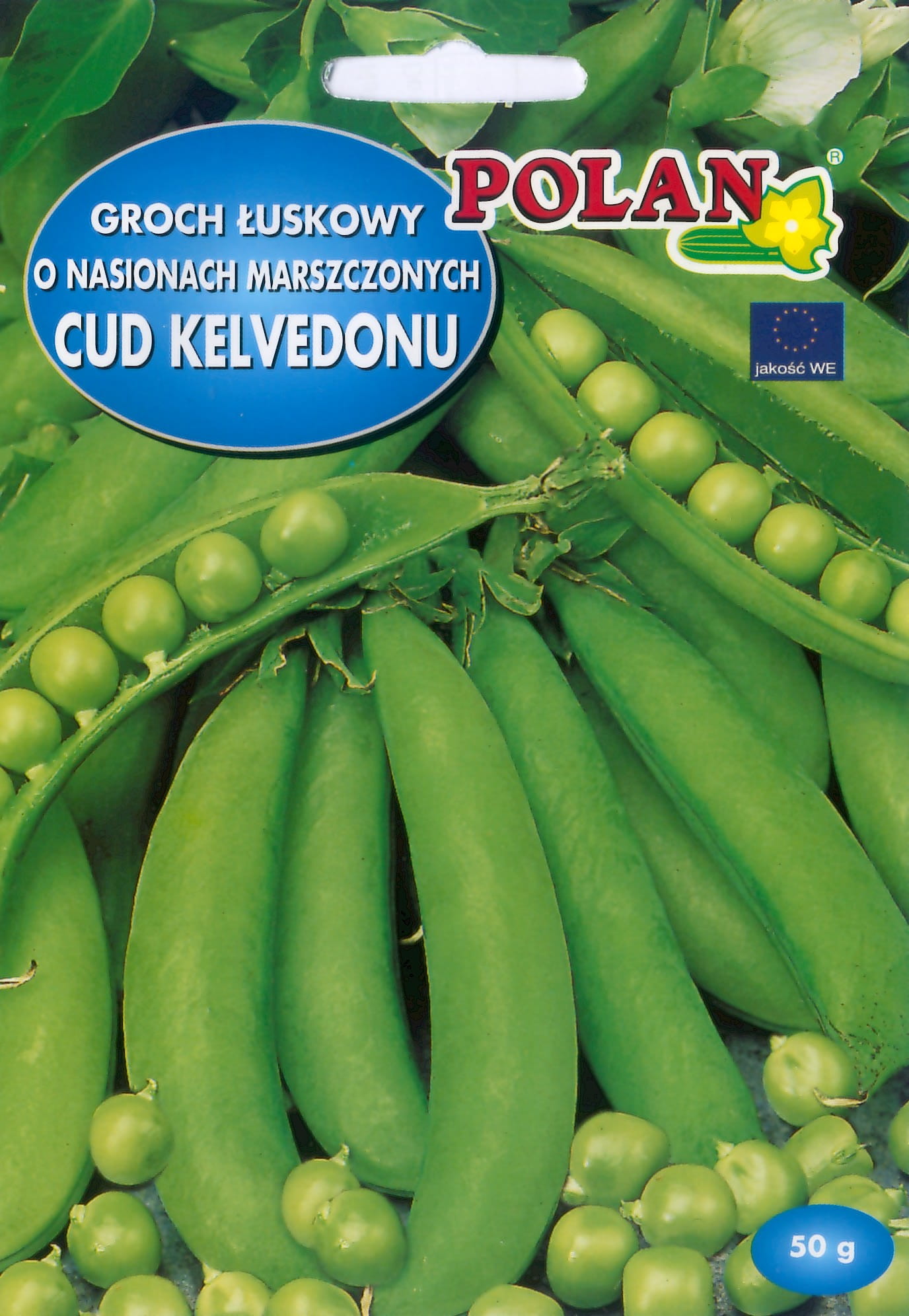 Groch konserwowy (łuskowy) CUD KELVEDONU