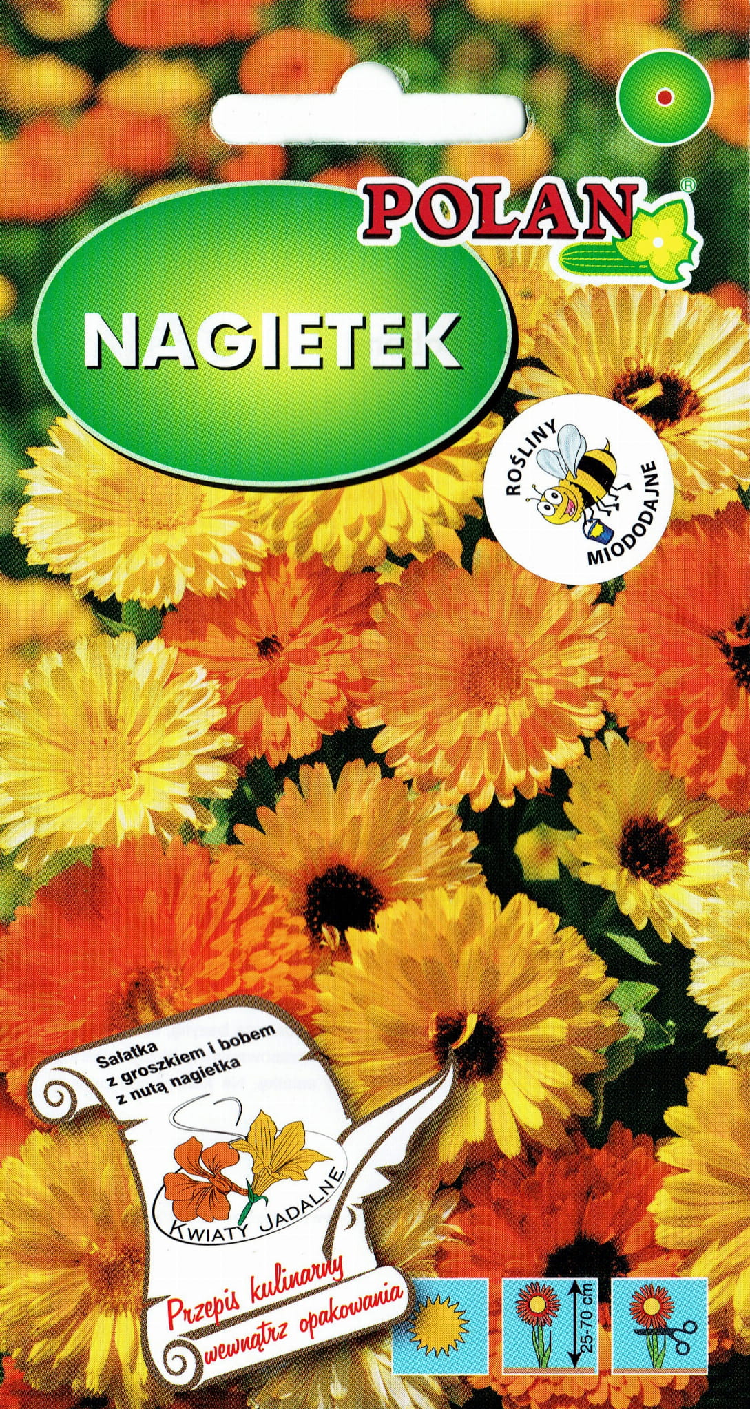 Nagietek karłowy ZESTAW KOLORÓW