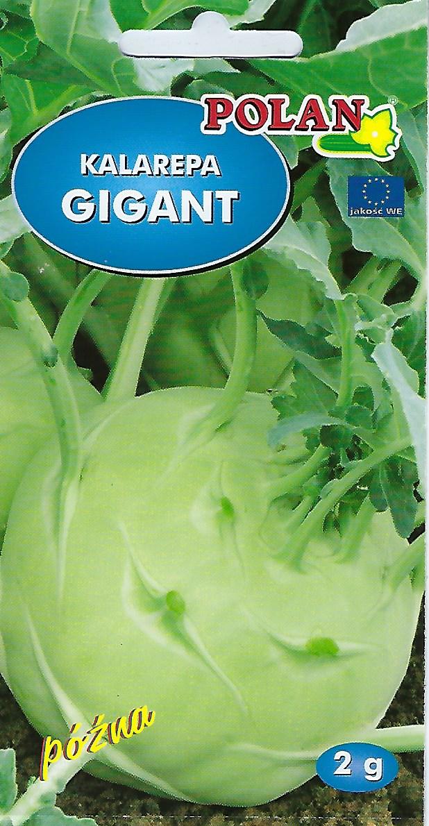 Kalarepa GIGANT