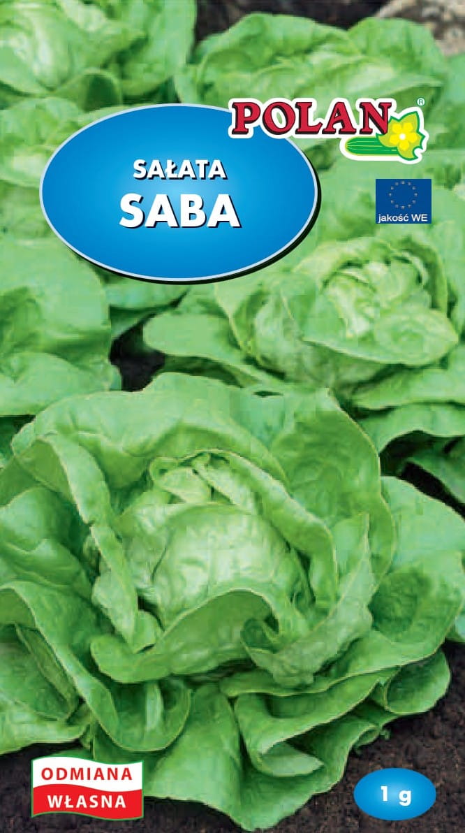 Sałata saba