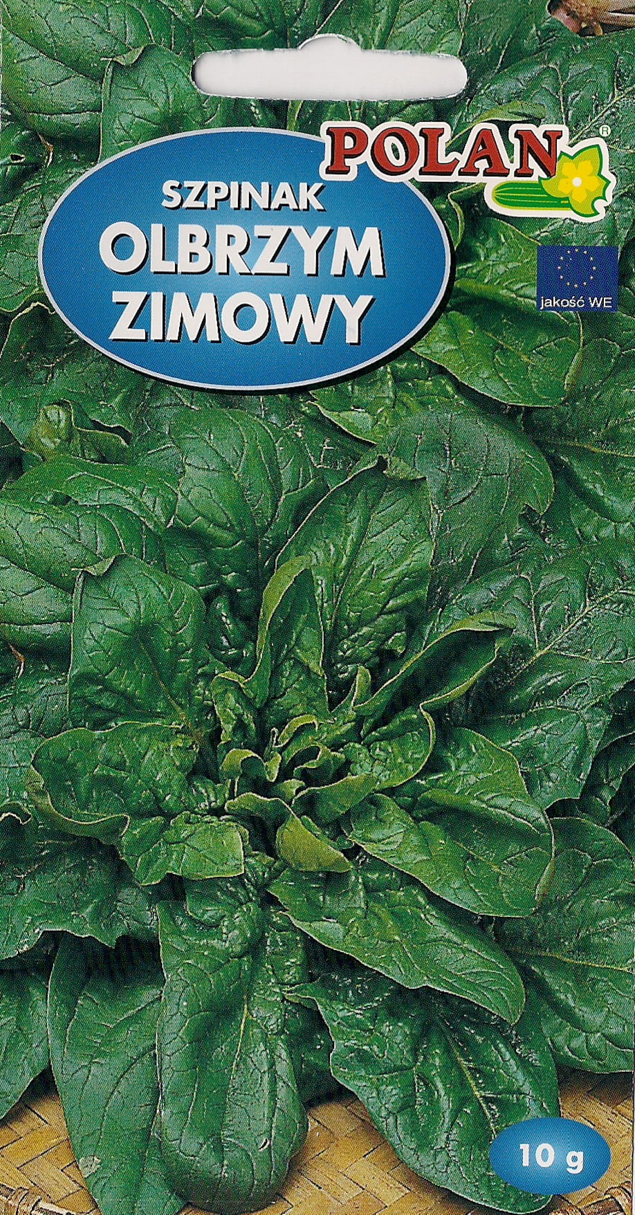 Szpinak OLBRZYM ZIMOWY NASIONA