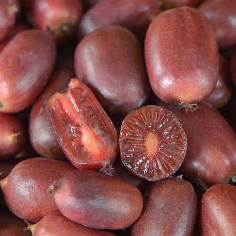 Kiwi