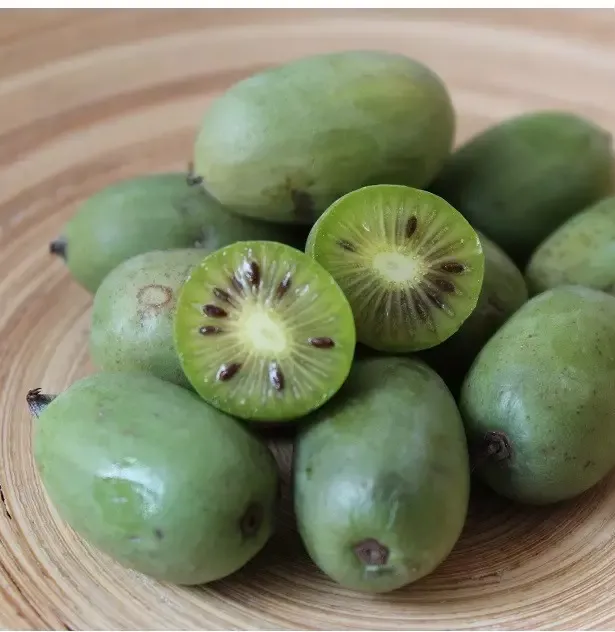 Kiwi JAPSAI